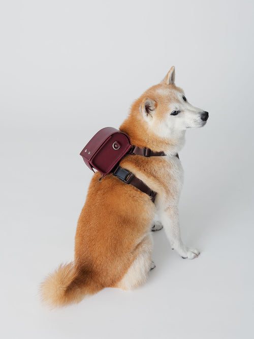 土屋鞄製造所 - 中文官網 - 【官網限定】Home Collection 寵物小學生書包