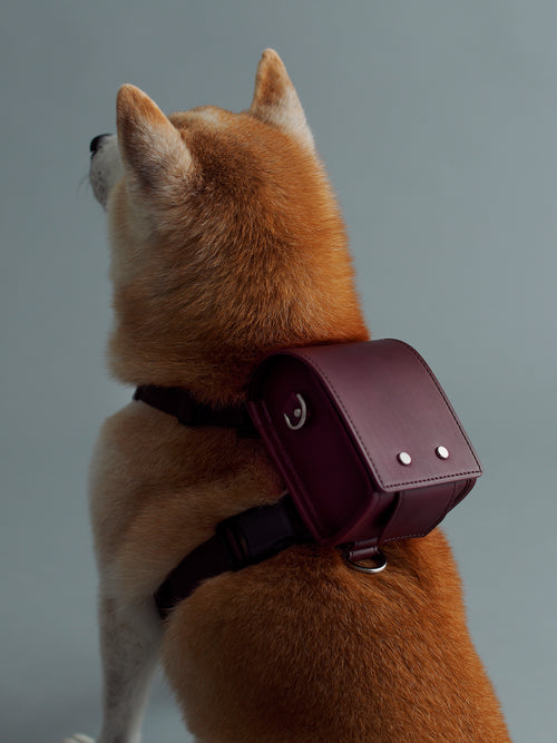 土屋鞄製造所 - 中文官網 - 【官網限定】Home Collection 寵物小學生書包