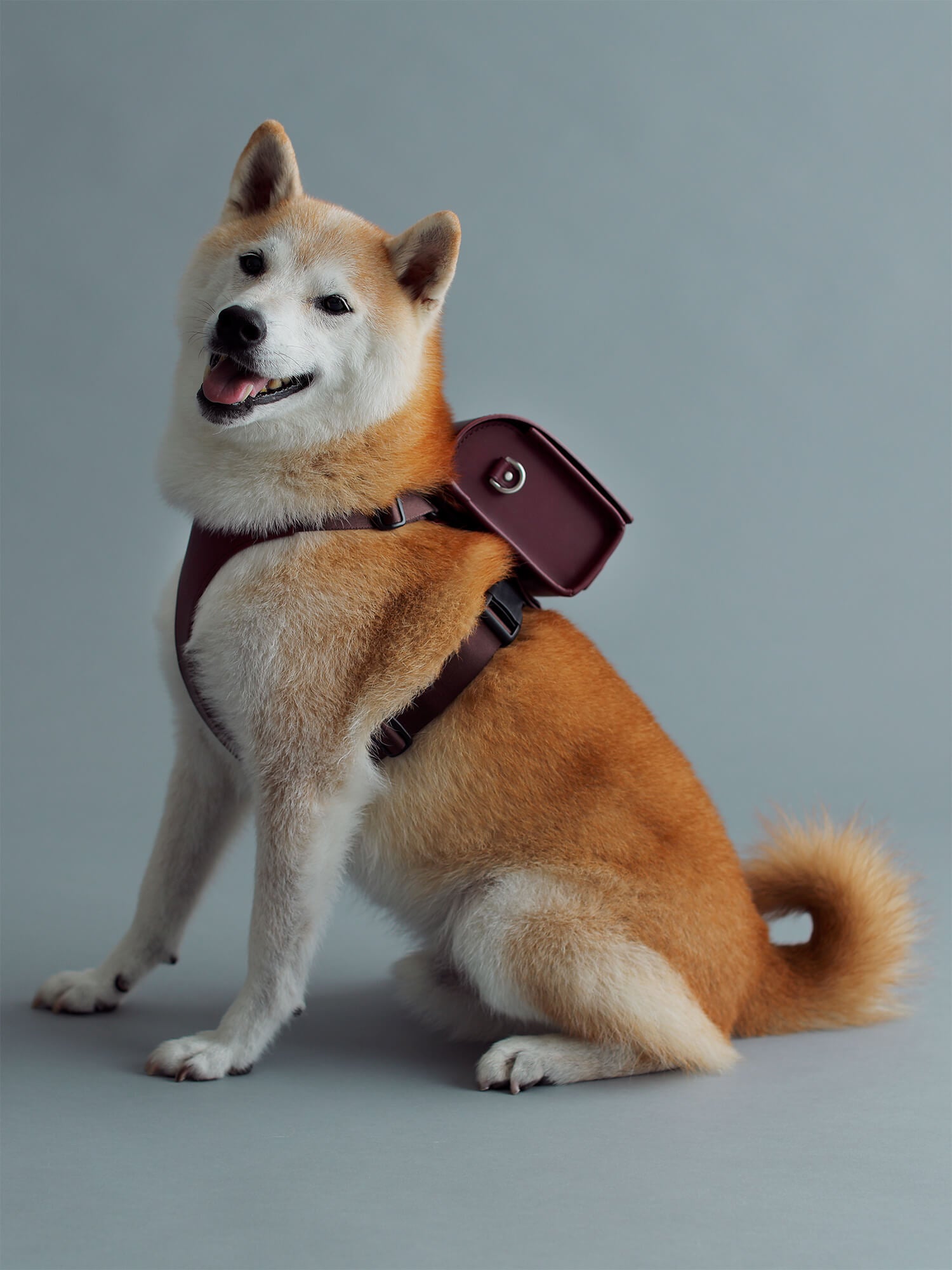 官網限定】Home Collection 寵物小學生書包– 土屋鞄製造所- 中文官網-