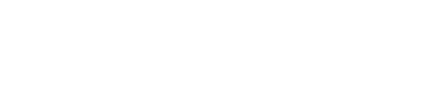 2025/SS SEASONAL COLLECTION